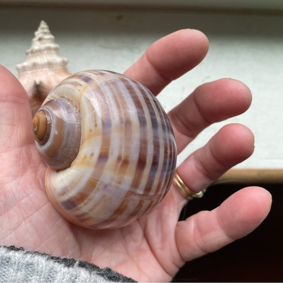 She’ll cluster - Picture 5 of 9